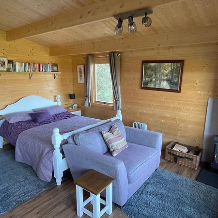 West Meon Cosy Cabin In Annie'S Meadow מראה חיצוני תמונה