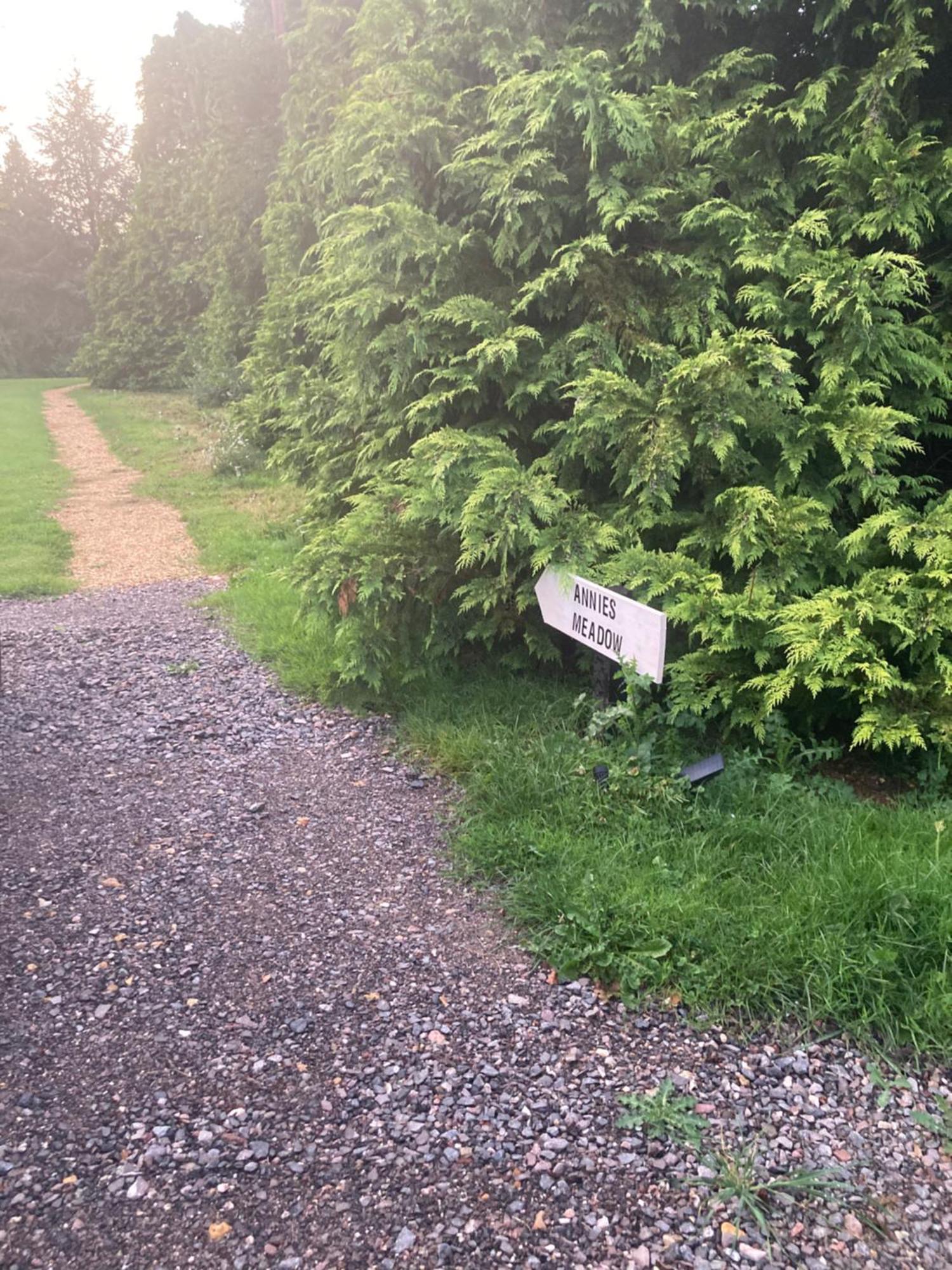 West Meon Cosy Cabin In Annie'S Meadow מראה חיצוני תמונה